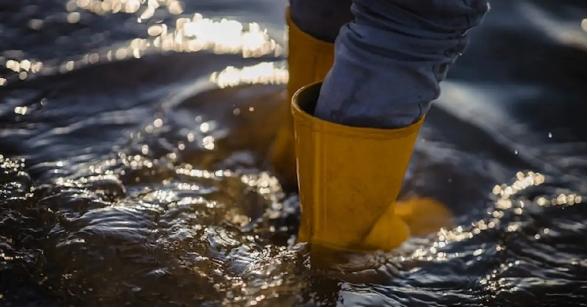 water damage effectively